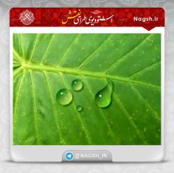 آموزش فتوشاپ؛ ساخت قطرات آب در فتوشاپ