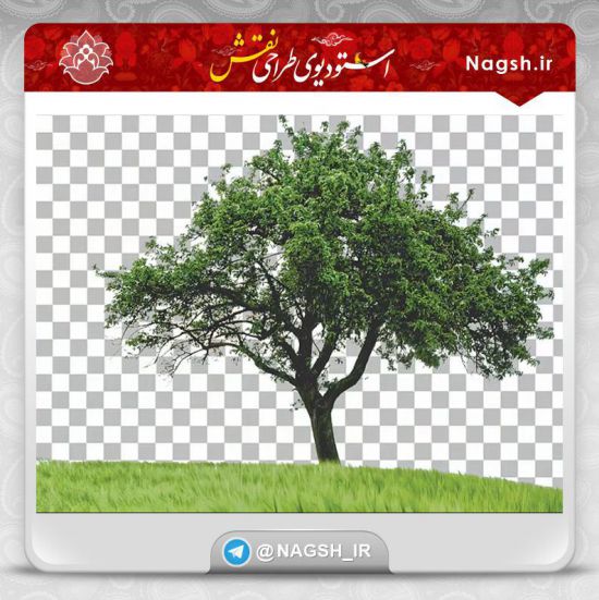 آموزش یکی از بهترین ترفندها برای دوربری و حذف بکگراند تصاویر پیچیده آموزش یکی از بهترین ترفندها برای دوربری و حذف بکگراند تصاویر پیچیده