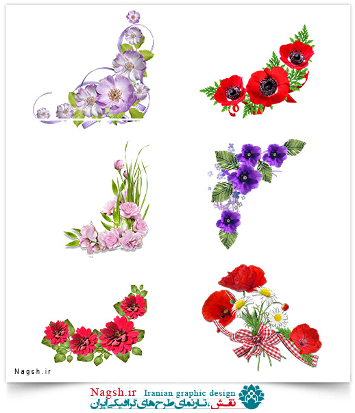 دانلود مجموعه تصاویر(png) گل دانلود مجموعه تصاویر(png) گل