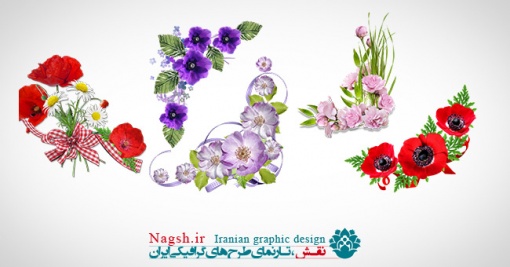 دانلود مجموعه تصاویر(png) گل