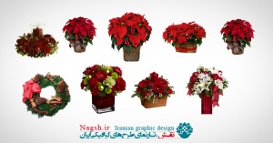 دانلود مجموعه تصاویرpng گل