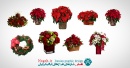 دانلود مجموعه تصاویرpng گل