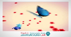 دانلود ویدئو کلیپ حرکت پروانه بر روی گلهای قرمز