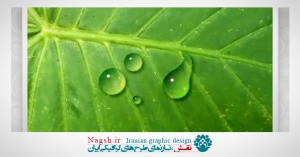 فیلم آموزش نحوه ساخت قطرات آب در فتوشاپ