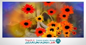 دانلود ویدئو کلیپ علی مولا مولا