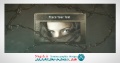 دانلود پروژه افترافکت نمایش متن و تصویر Barbed Wire Videohive