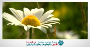  کلیپ منطقه زیبا و گردشگری جنگل فندقلو اردبیل