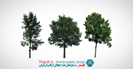 دانلود مجموعه تصاویر(png) درختان
