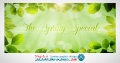 دانلود پروژه افترافکت نمایش متن و تصویر The Spring Special - Promo Pack Videohive