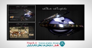 دانلود پروژه آماده فلش یک نمونه قالب آماده وب سایت